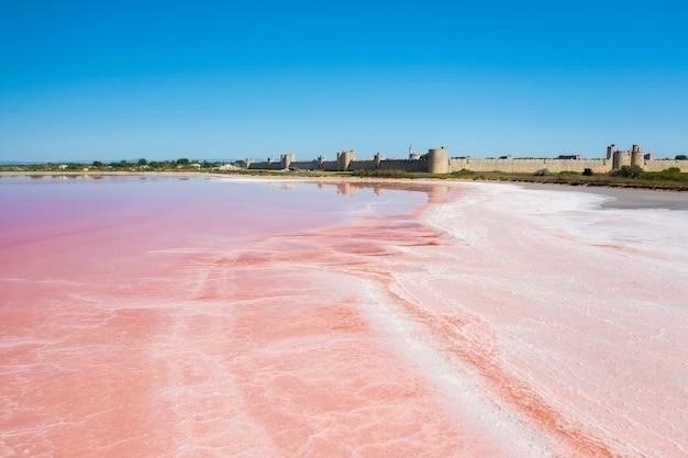 Почему вода в Кояшском озере розовая